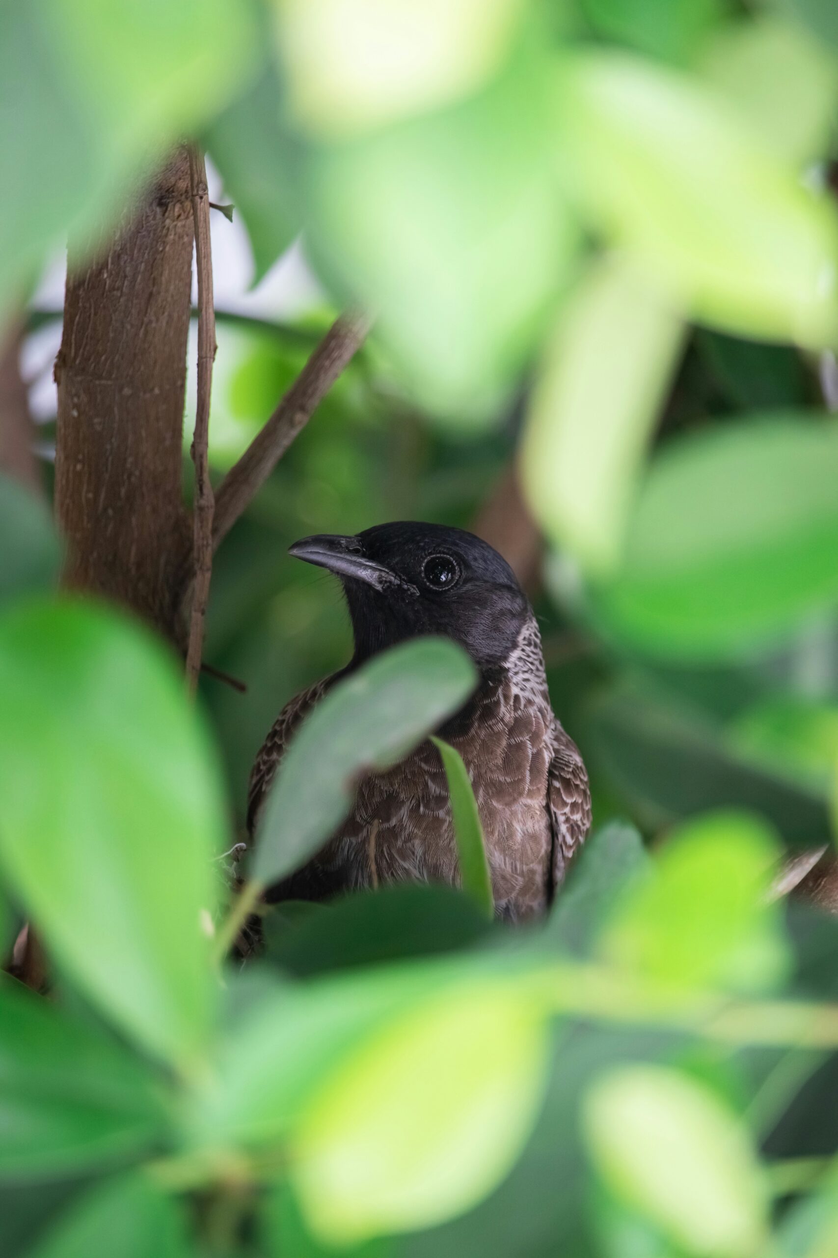 Hello world!